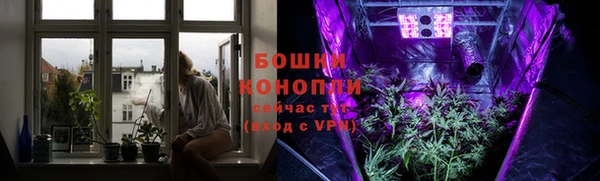 ПСИЛОЦИБИНОВЫЕ ГРИБЫ Няндома