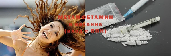ПСИЛОЦИБИНОВЫЕ ГРИБЫ Няндома