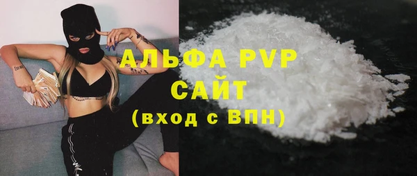 ПСИЛОЦИБИНОВЫЕ ГРИБЫ Няндома