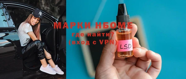 ПСИЛОЦИБИНОВЫЕ ГРИБЫ Няндома
