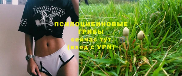 дживик Нягань