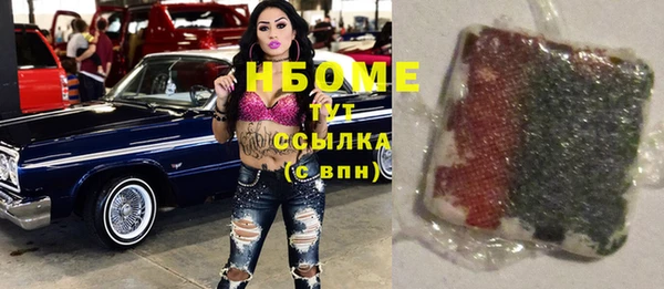 ПСИЛОЦИБИНОВЫЕ ГРИБЫ Няндома