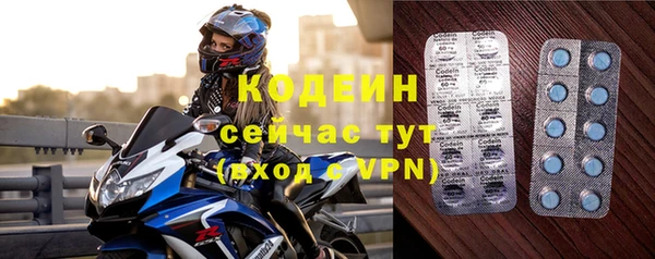 ПСИЛОЦИБИНОВЫЕ ГРИБЫ Няндома