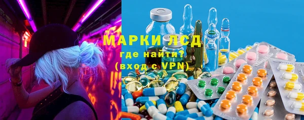 ПСИЛОЦИБИНОВЫЕ ГРИБЫ Няндома