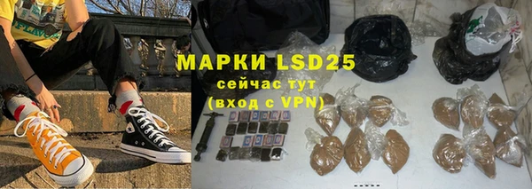 ПСИЛОЦИБИНОВЫЕ ГРИБЫ Няндома