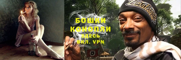 ПСИЛОЦИБИНОВЫЕ ГРИБЫ Няндома
