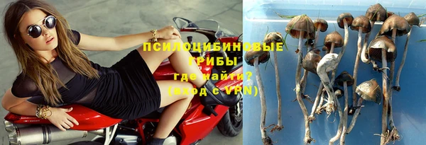 дживик Нягань