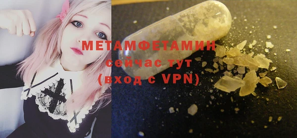 ПСИЛОЦИБИНОВЫЕ ГРИБЫ Няндома